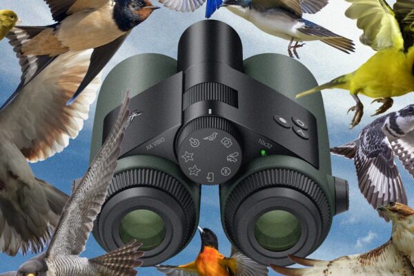 Fui a observar aves con los primeros binoculares del mundo impulsados por IA. I Went Birding With the World’s First AI-Powered Binoculars
