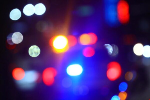 Estudiante de Temple muere tras caer de un poste durante celebración de los Philadelphia Eagles. Temple student dies after falling from pole during Philadelphia Eagles celebration