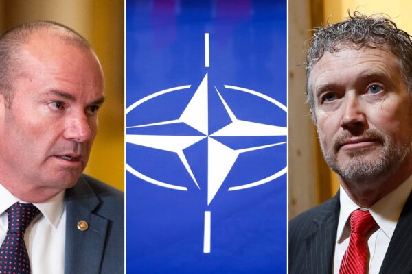 Thomas Massie y Mike Lee abogan por que EE. UU. abandone la OTAN. Thomas Massie and Mike Lee advocate for US to dump NATO