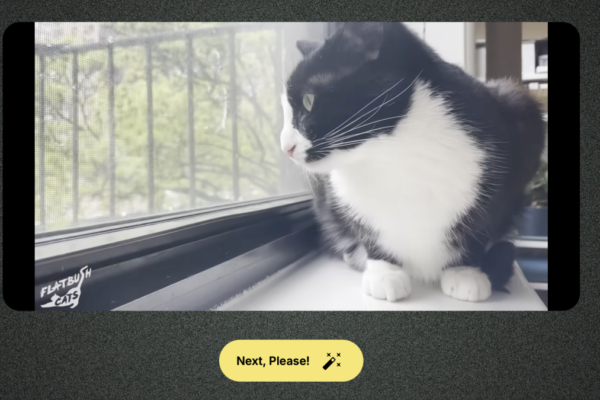“Ver Algo Maravilloso” Recupera el Encanto de un Internet Sin Algoritmos 'Watch Something Wonderful' Brings Back the Charm of the Algorithm-Free Internet