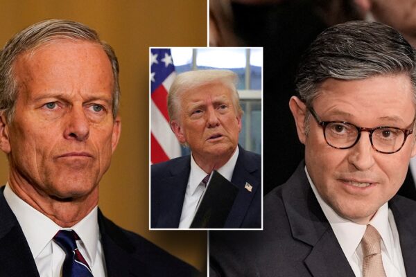 Fuera de poder: Demócratas desorientados en la lucha contra la agenda de Trump Out of power: Democrats disoriented in fight against Trump agenda